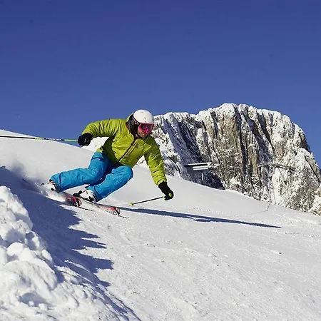 Almresort Gartnerkofel Nassfeld Prázdninový dům *